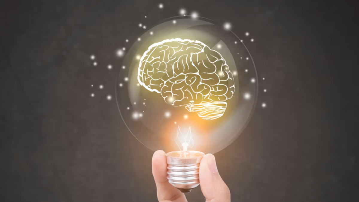 مغزی در حال رشد