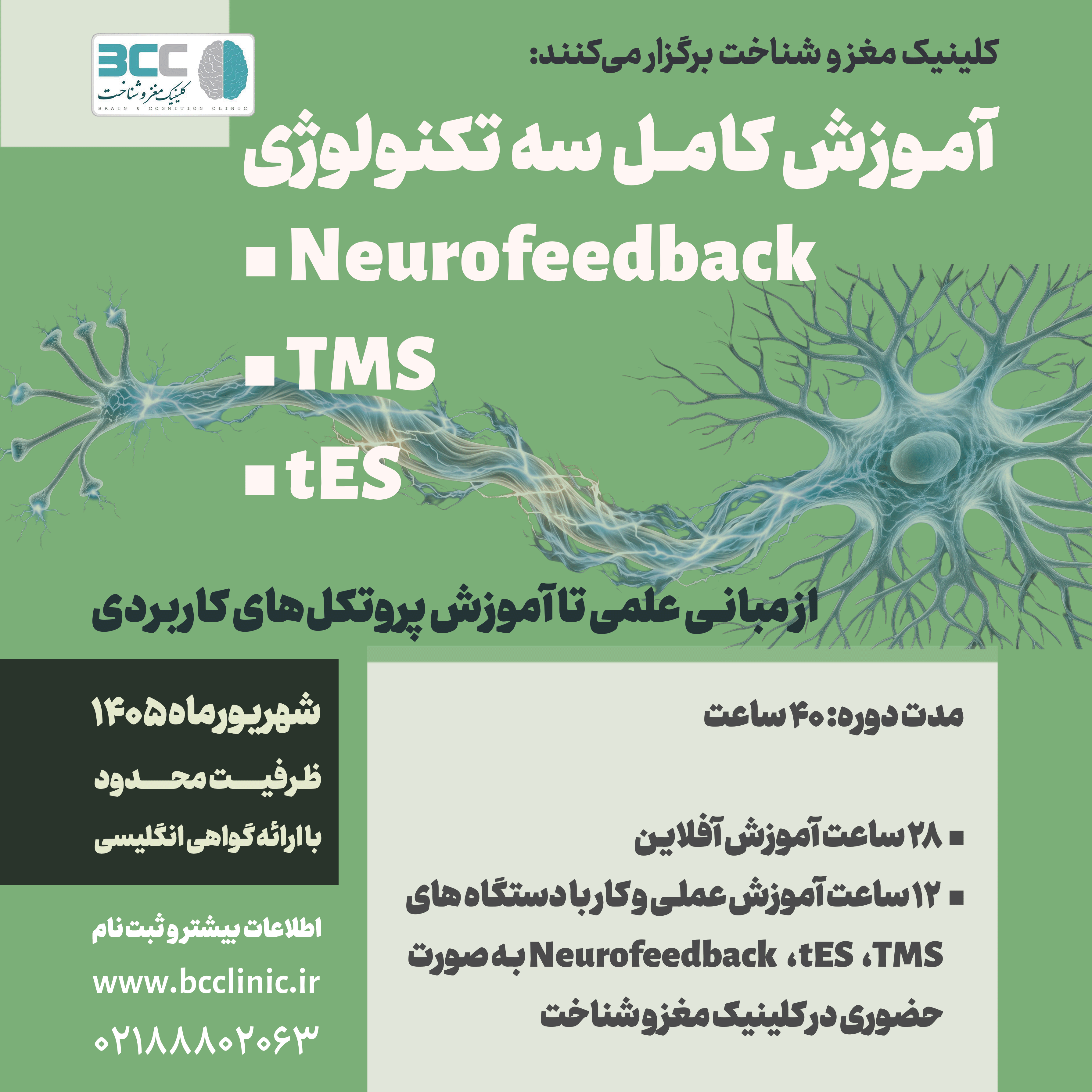 پوستر وبینار مدیریت اختلال پردازش شنوایی