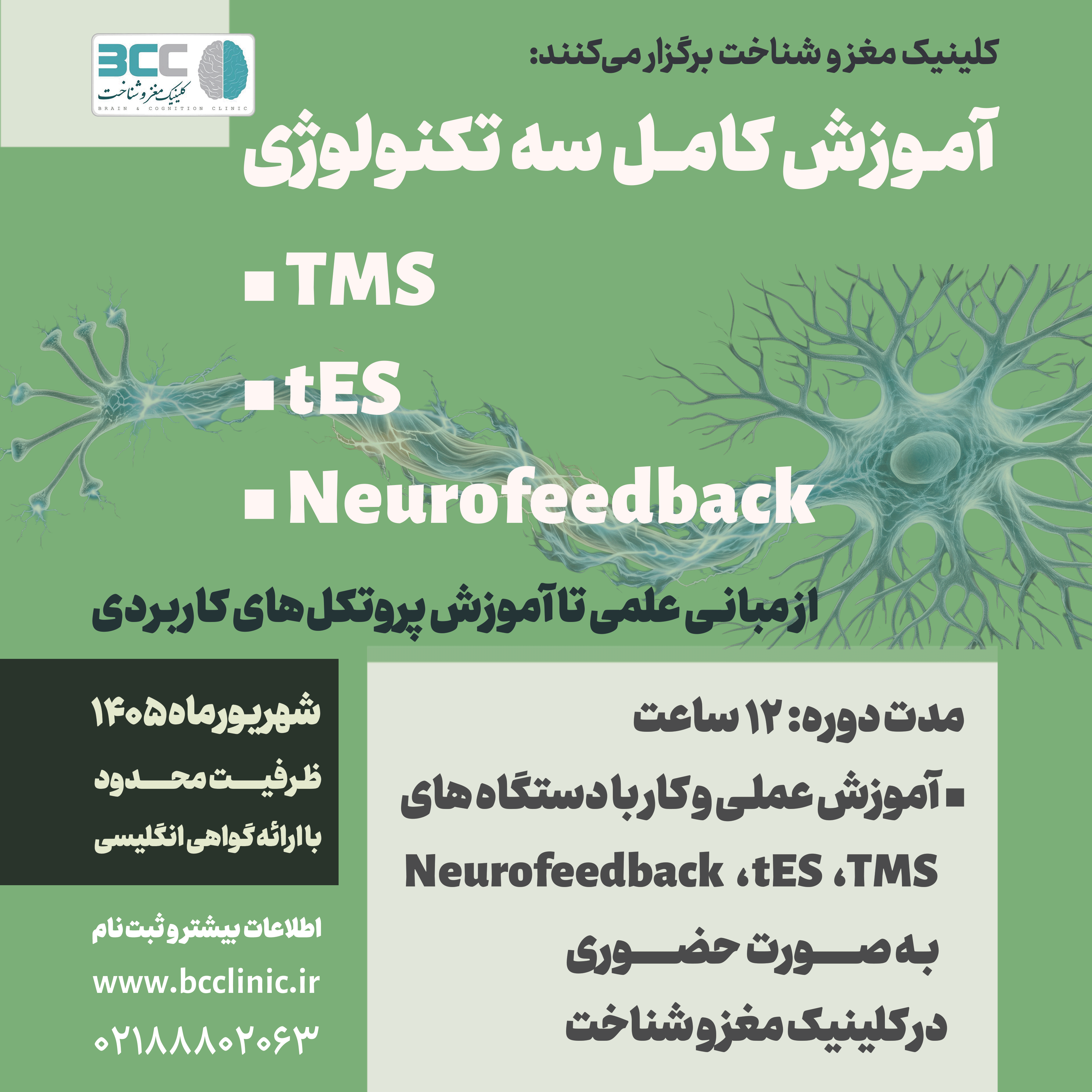 پوستر وبینار مدیریت اختلال پردازش شنوایی